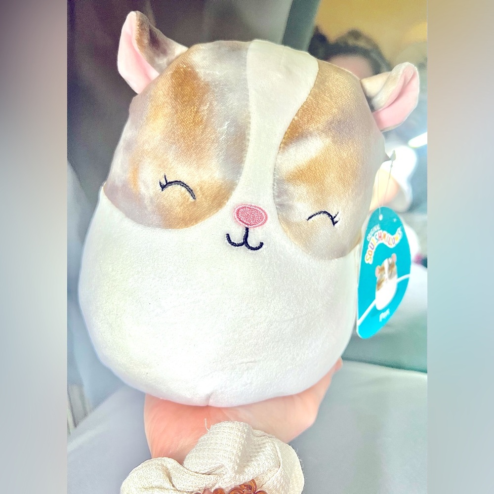 Original Squishmallows Pax the Guinea Pig NWT